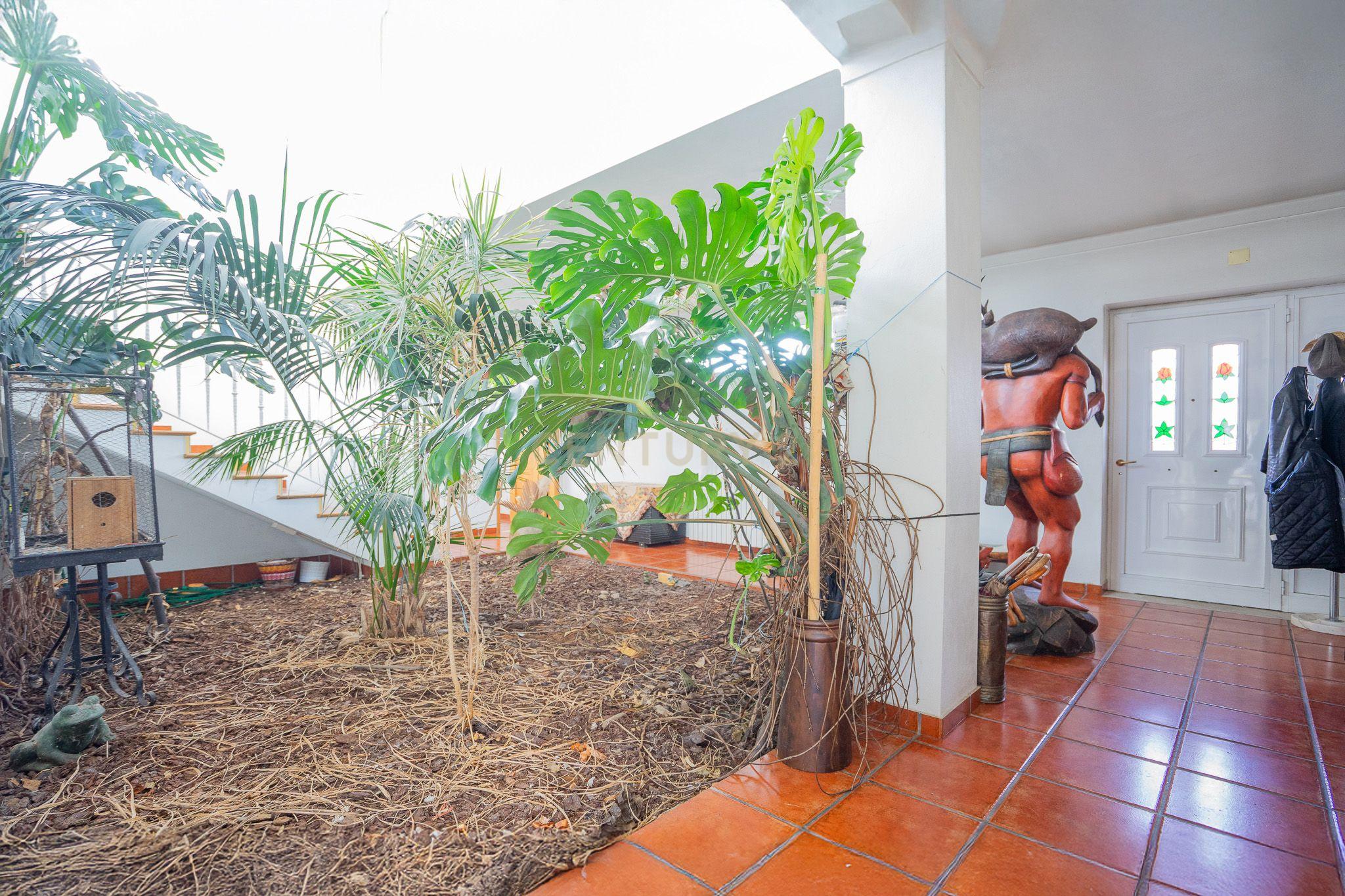 Moradia T5 com varanda coberta,terraço,piscina,jardim,poço,anexo e telheiro numa localização privilegada no centro de Lousã - Image 13