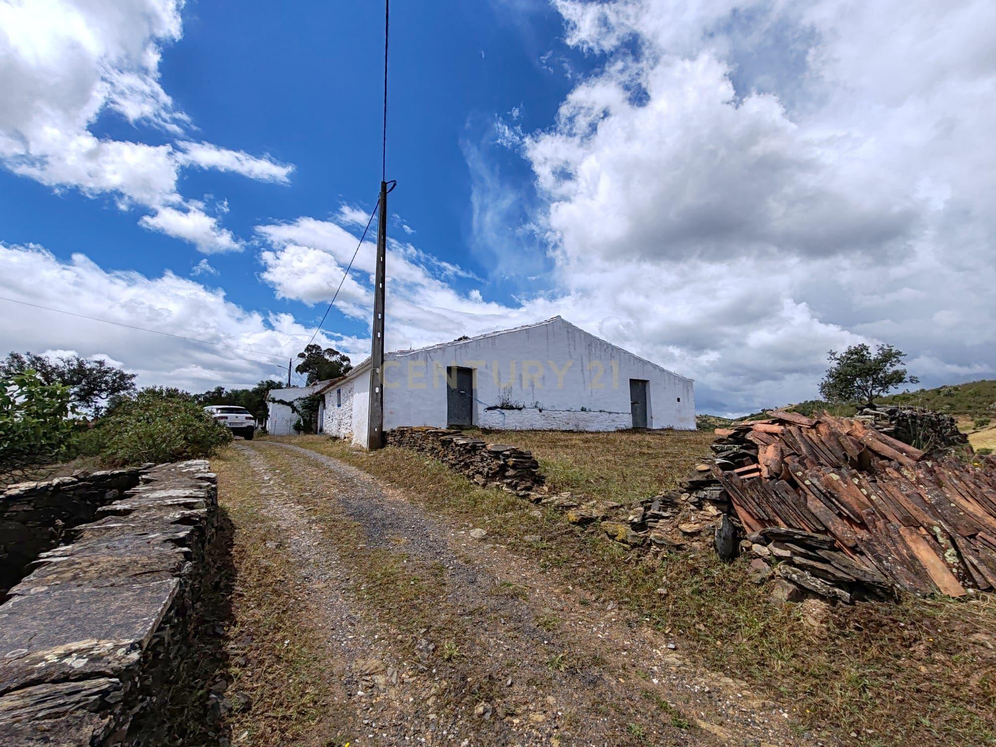 Fotografia 3 de Monte alentejano com 11,9 hectares e casa em Santana da Serra
