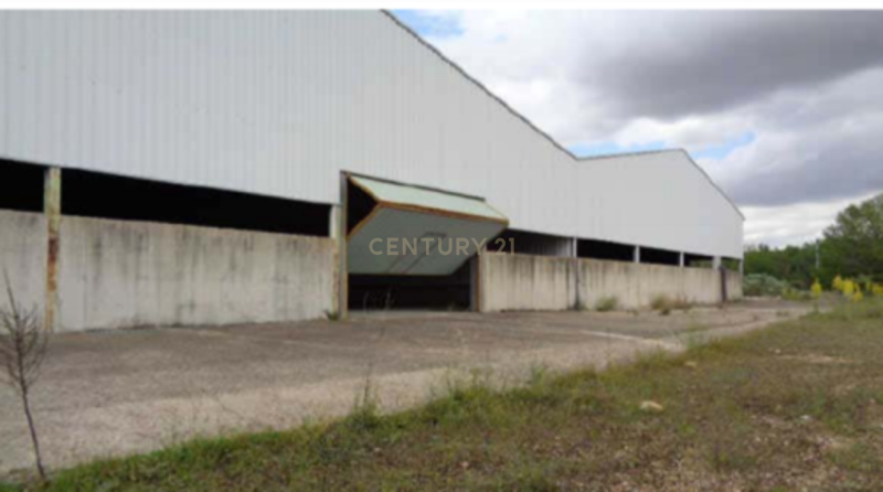Logística ou Industrial - Image 4