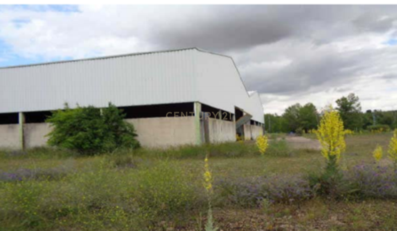 Logística ou Industrial - Image 6