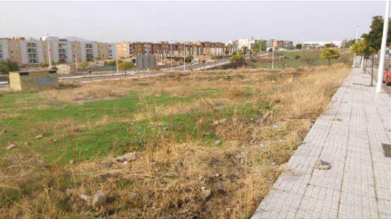Terreno - Image 2