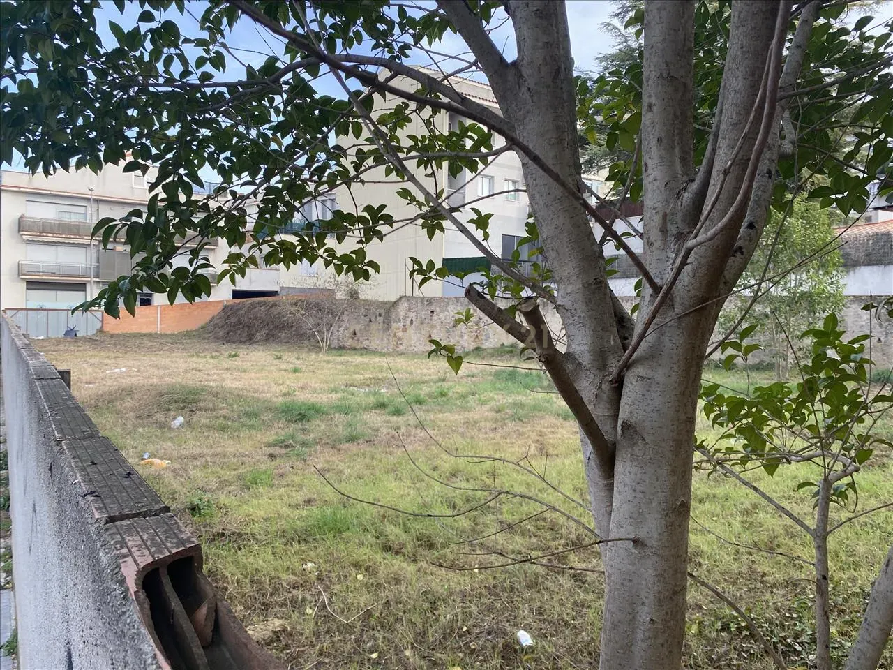 Terreno - Image 2