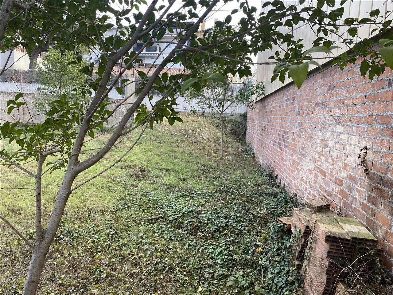 Terreno - Image 3