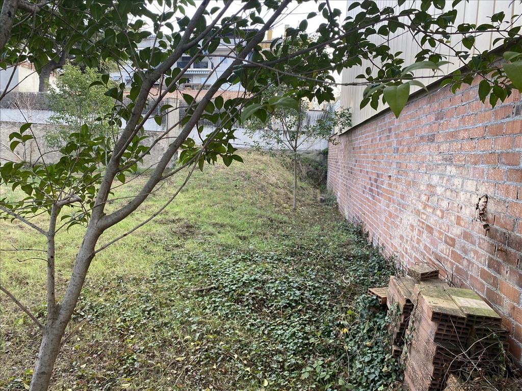 Terreno - Image 3