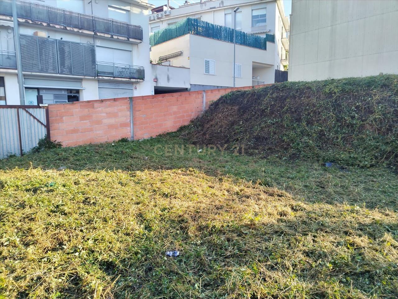 Terreno - Image 6
