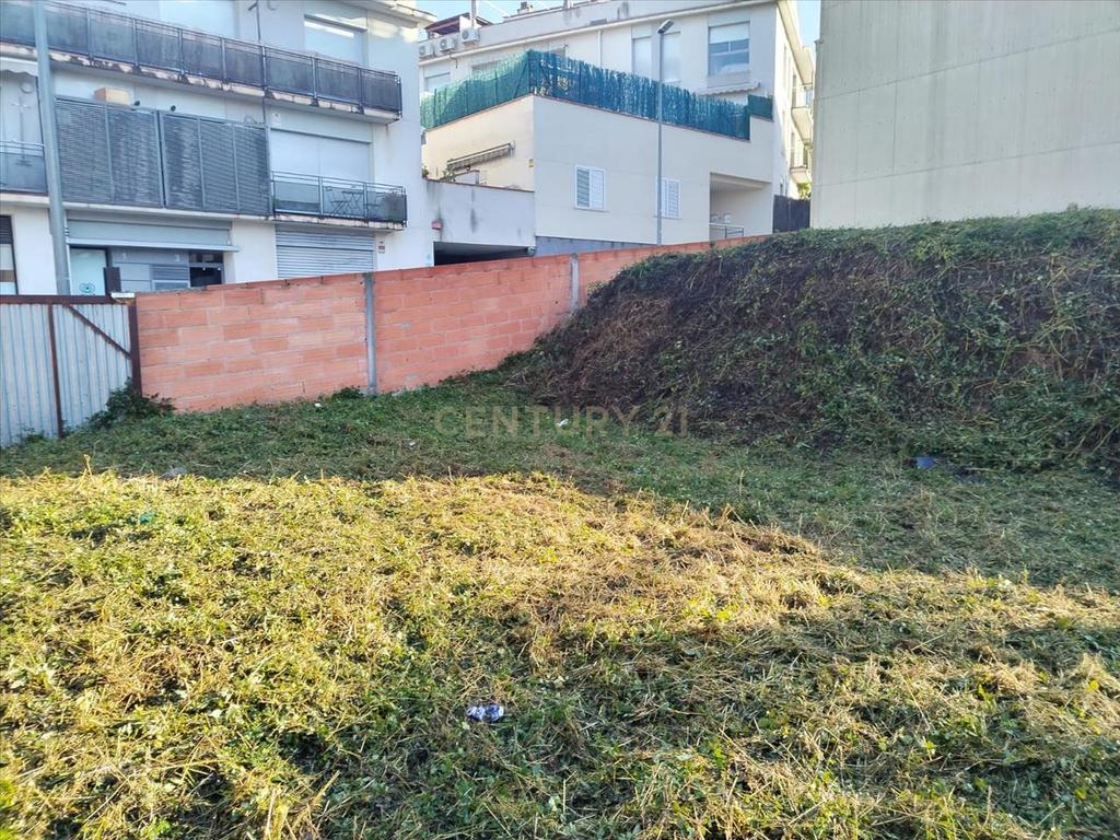 Terreno - Image 6