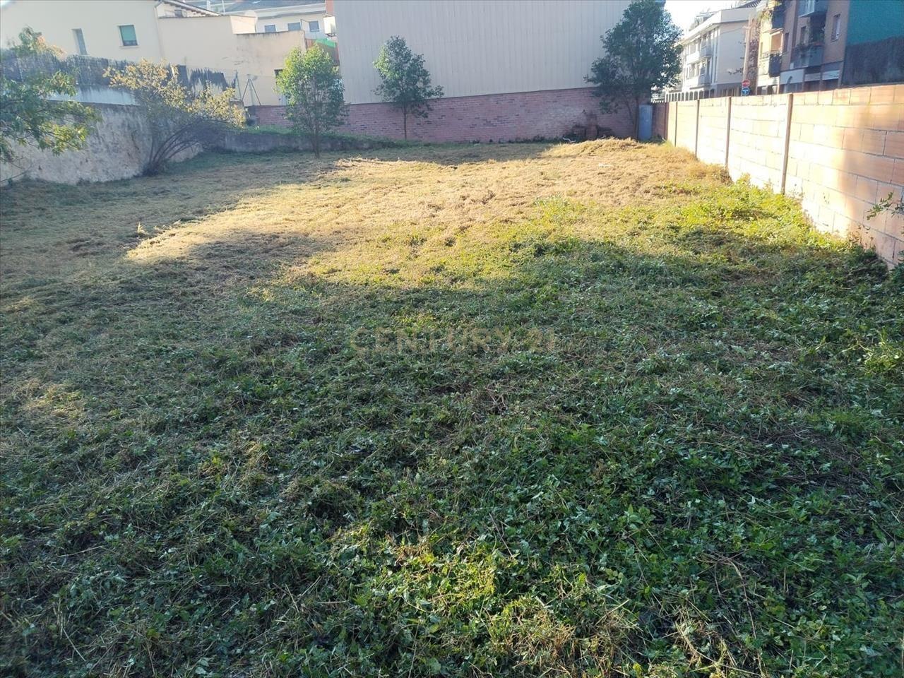Terreno - Image 9