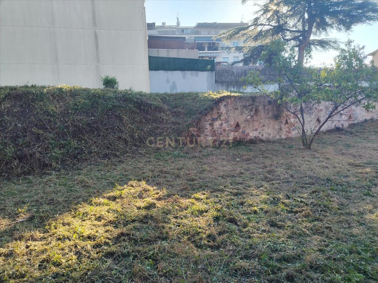 Terreno - Image 10