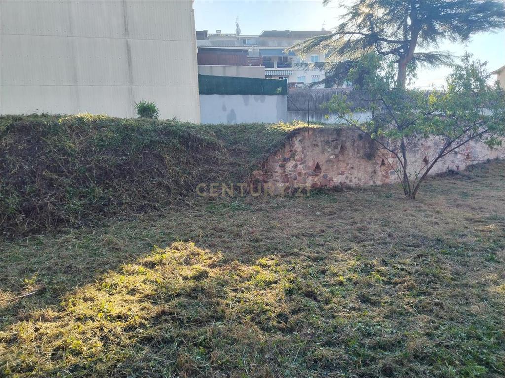 Terreno - Image 10