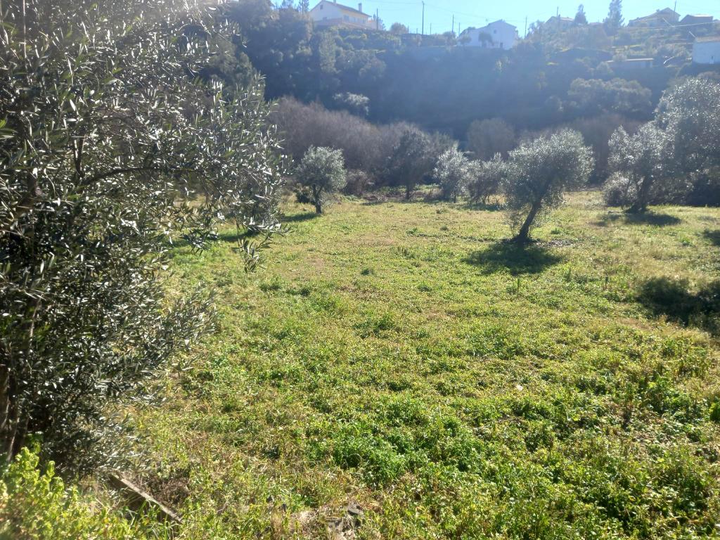 Quintinha em Sesmo, Junto á praia fluvial, Sarzedas - Image 16