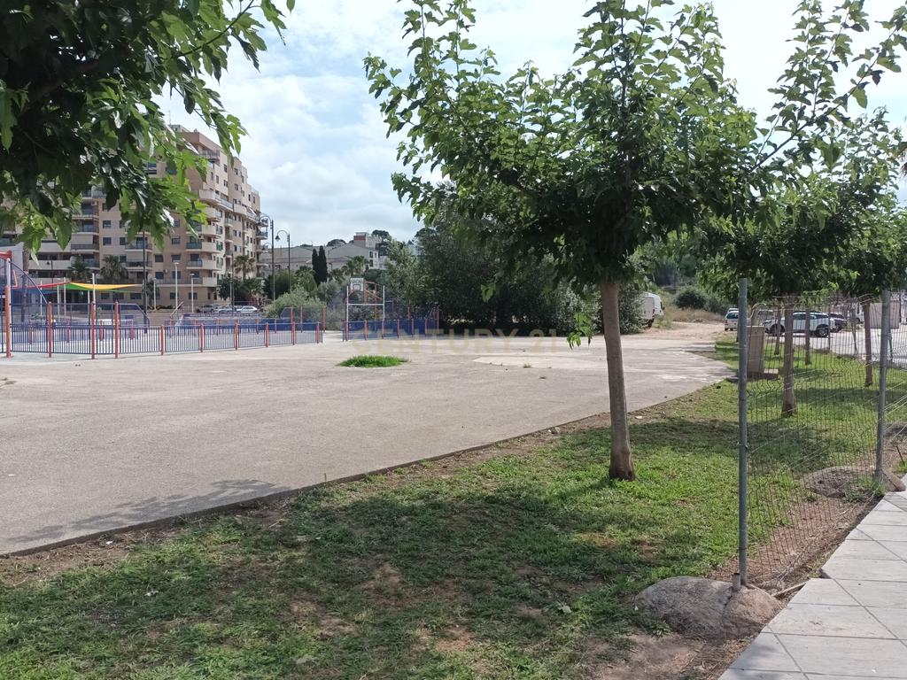 Terreno - Image 9