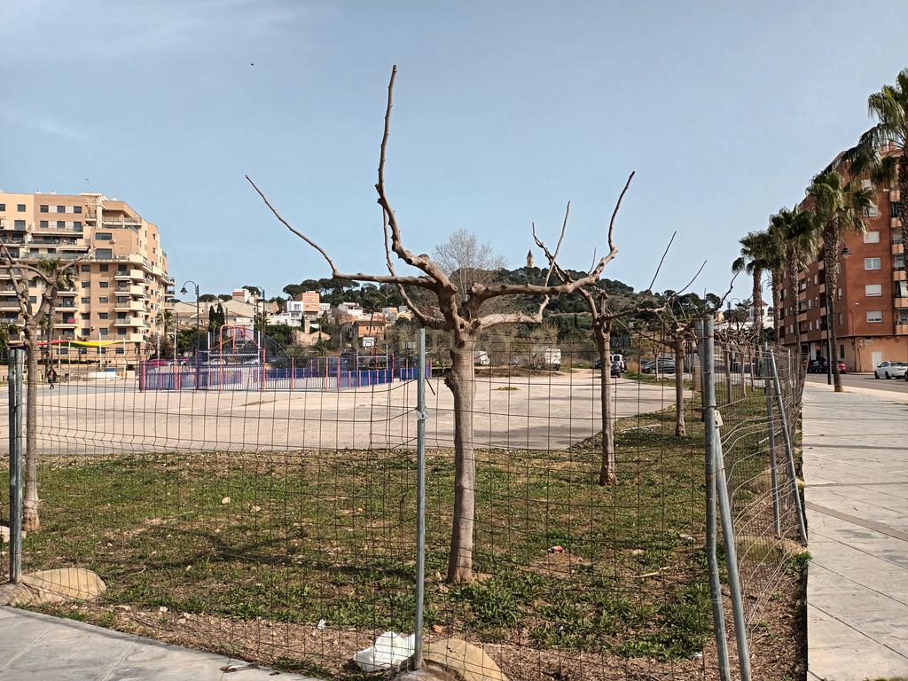 Terreno - Image 4
