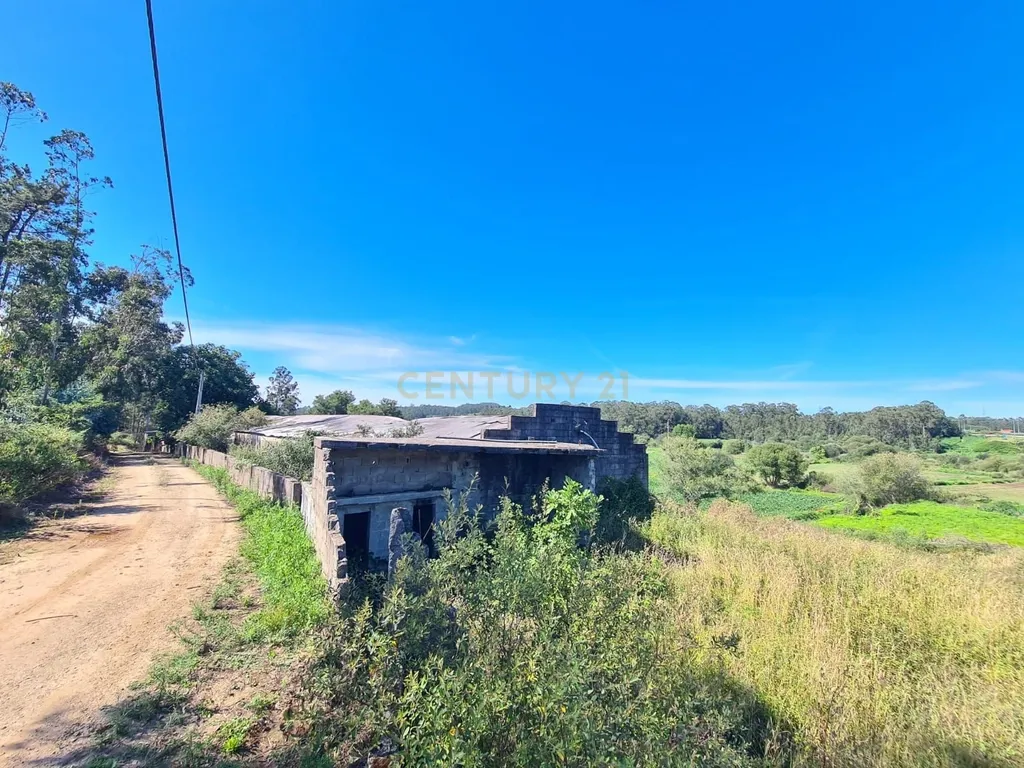 Terreno com Pavilhão Industrial em Barqueiros - Image 10