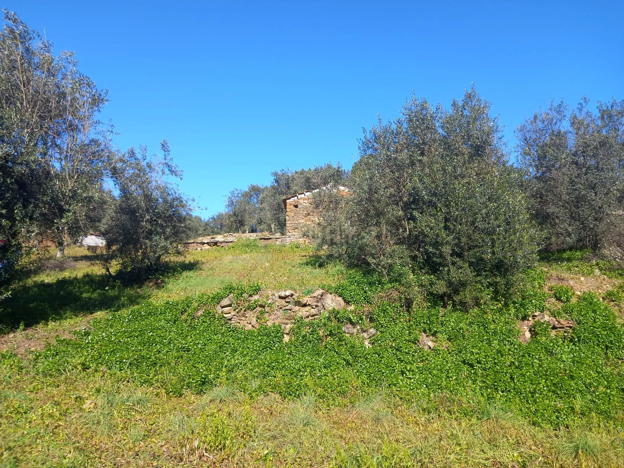 Quintinha em Sesmo, Junto á praia fluvial, Sarzedas - Image 21