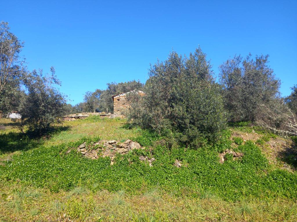 Quintinha em Sesmo, Junto á praia fluvial, Sarzedas - Image 13