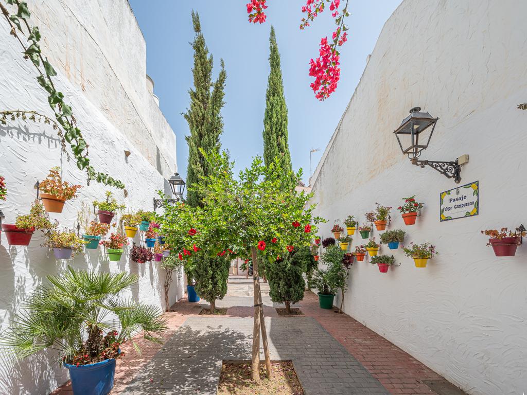 Venta de Parcela Rustica en Estepona - Image 11