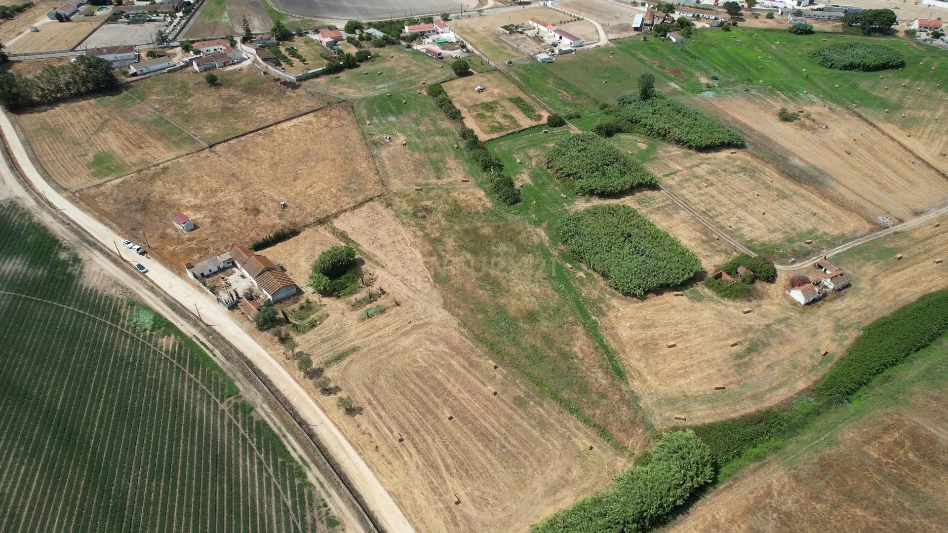 Fotografia 4 de Terreno com 8.700 m² no Rego da Amoreira — Alcochete