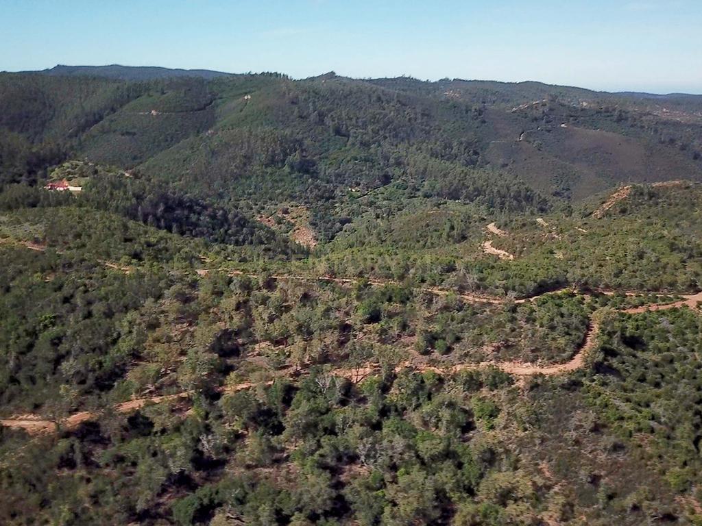 Propriedade Exclusiva com Quase 13 Hectares em Monchique, Palheiros - Image 39