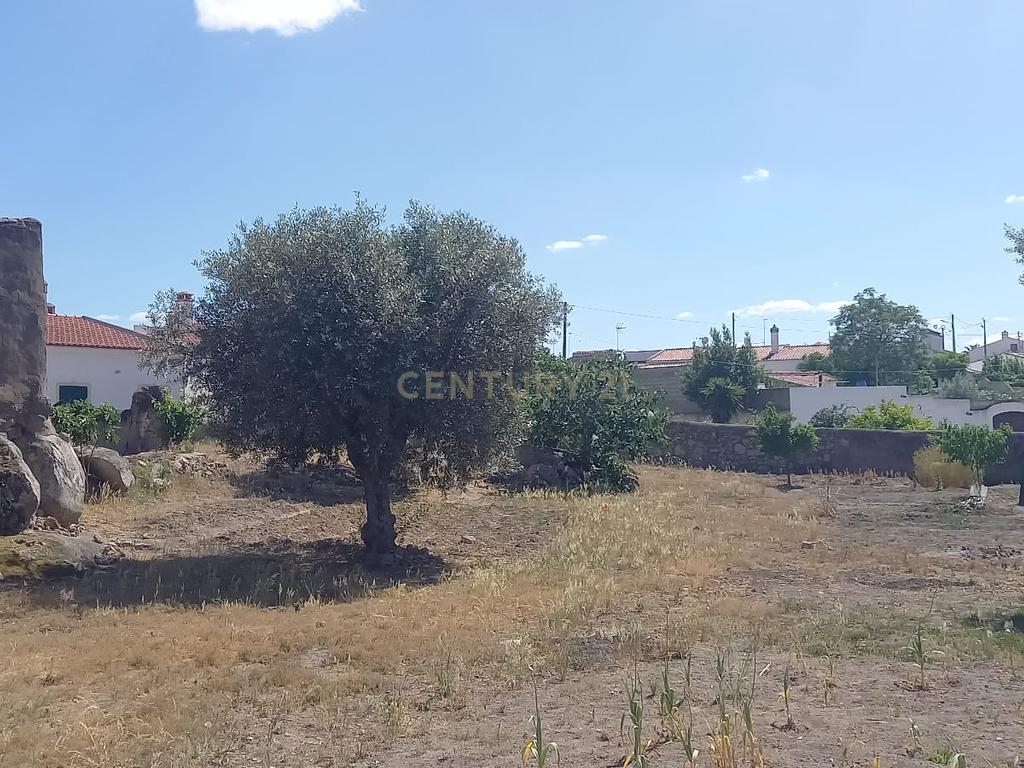 PEDROGÃO ALENTEJO - EXCELENTE TERRENO PARA CONSTRUÇÃO - Image 21