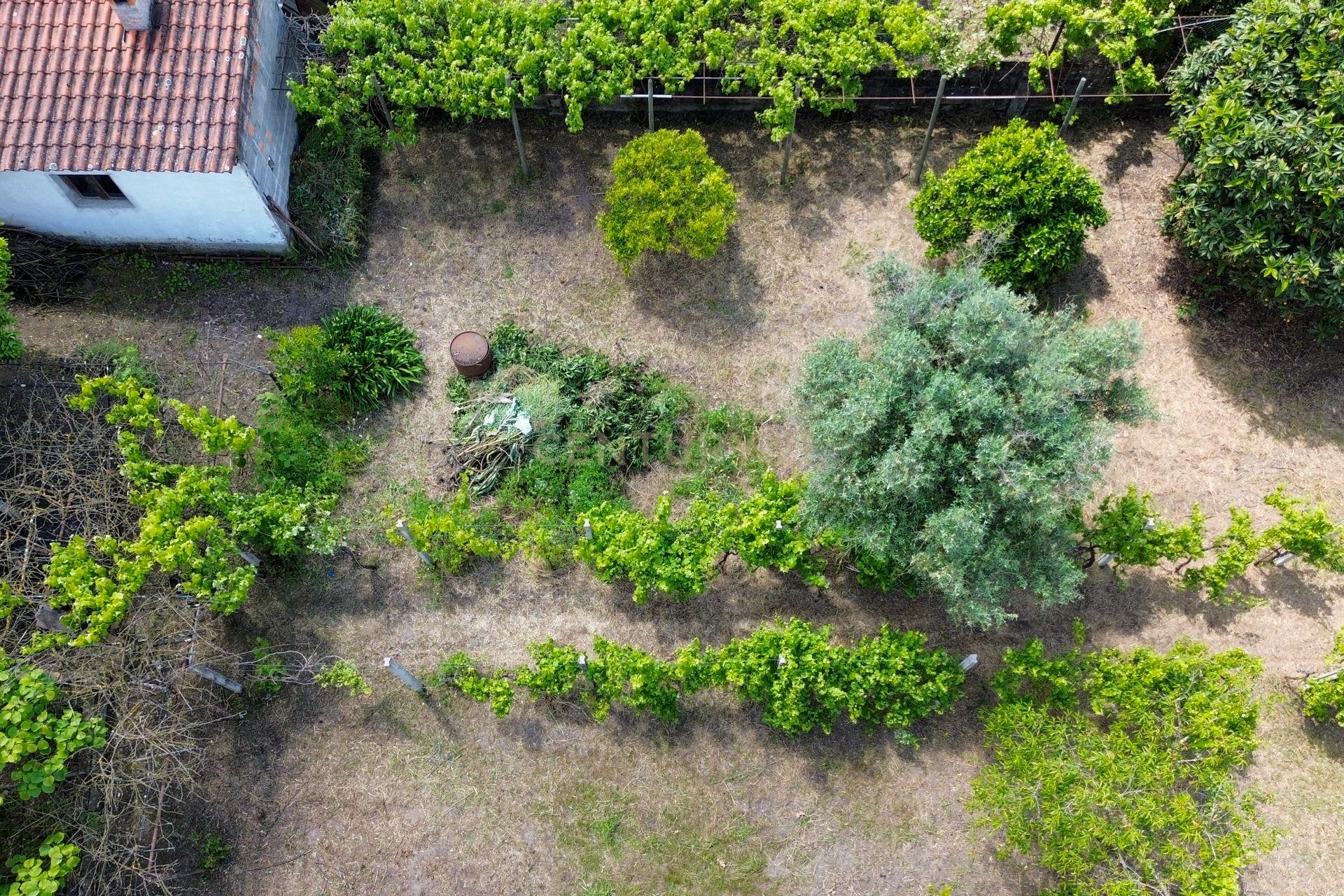 Moradia T3 com Jardim e Garagem em Santarém, Abrantes - Em Sistema de propostas Múltiplas - Image 12