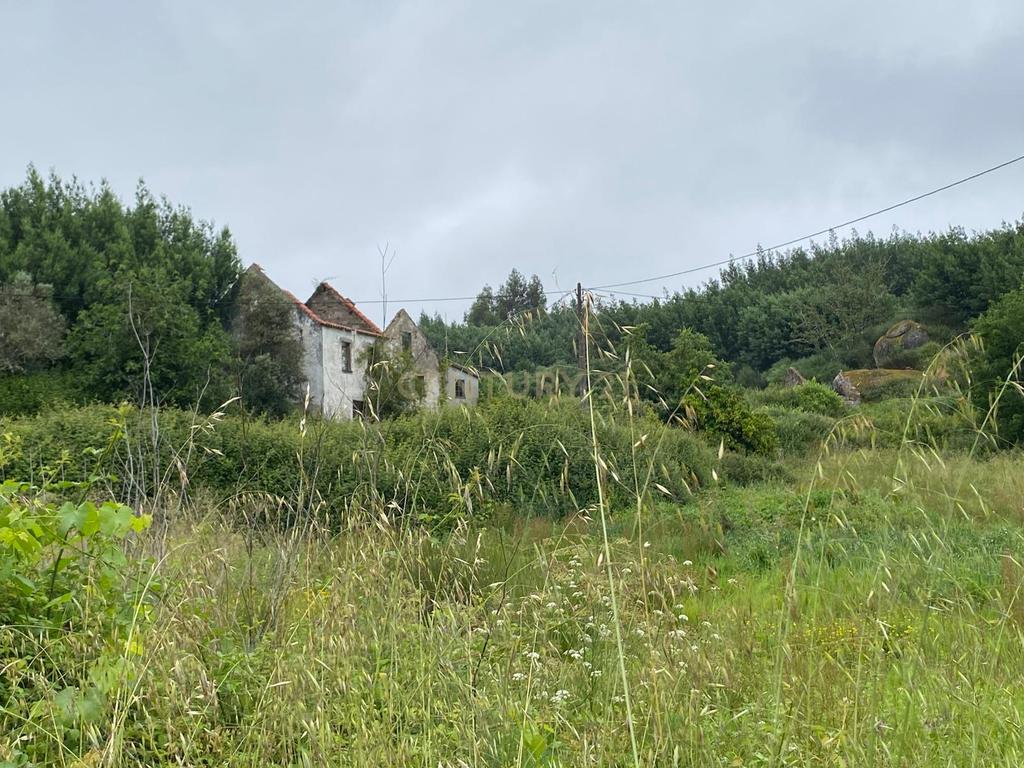 Quinta com Ruína - Oportunidade de Negócio - Image 19