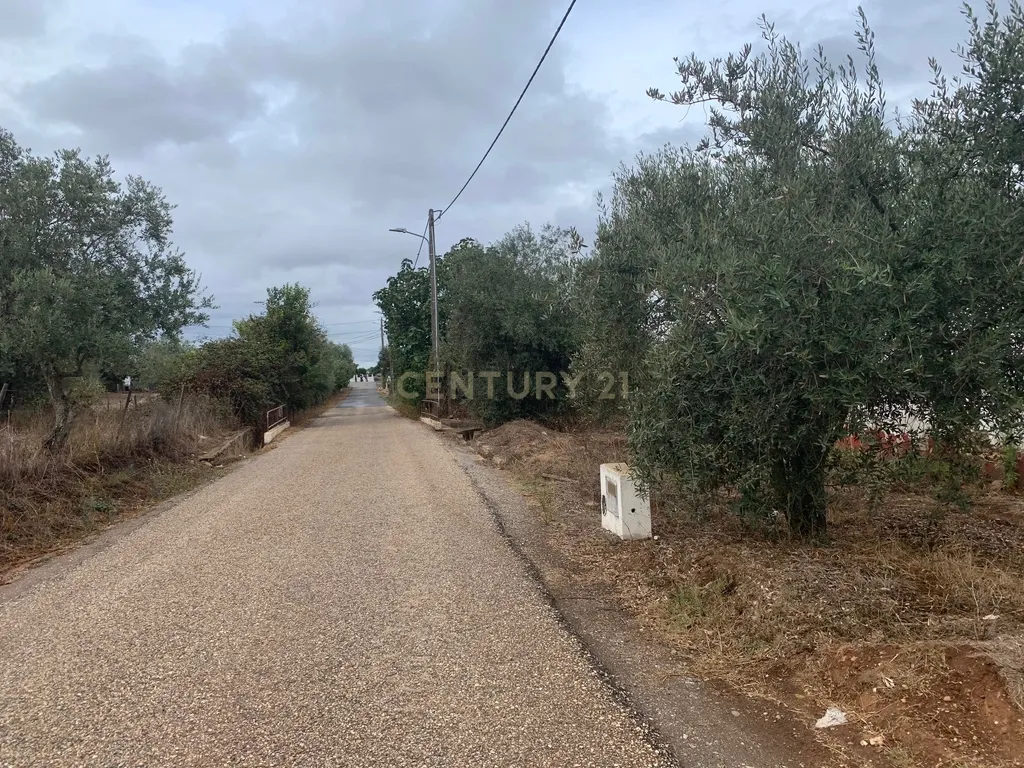 Quinta a 20 km da Costa Vicentina, 8.250m2 de terreno - Image 24
