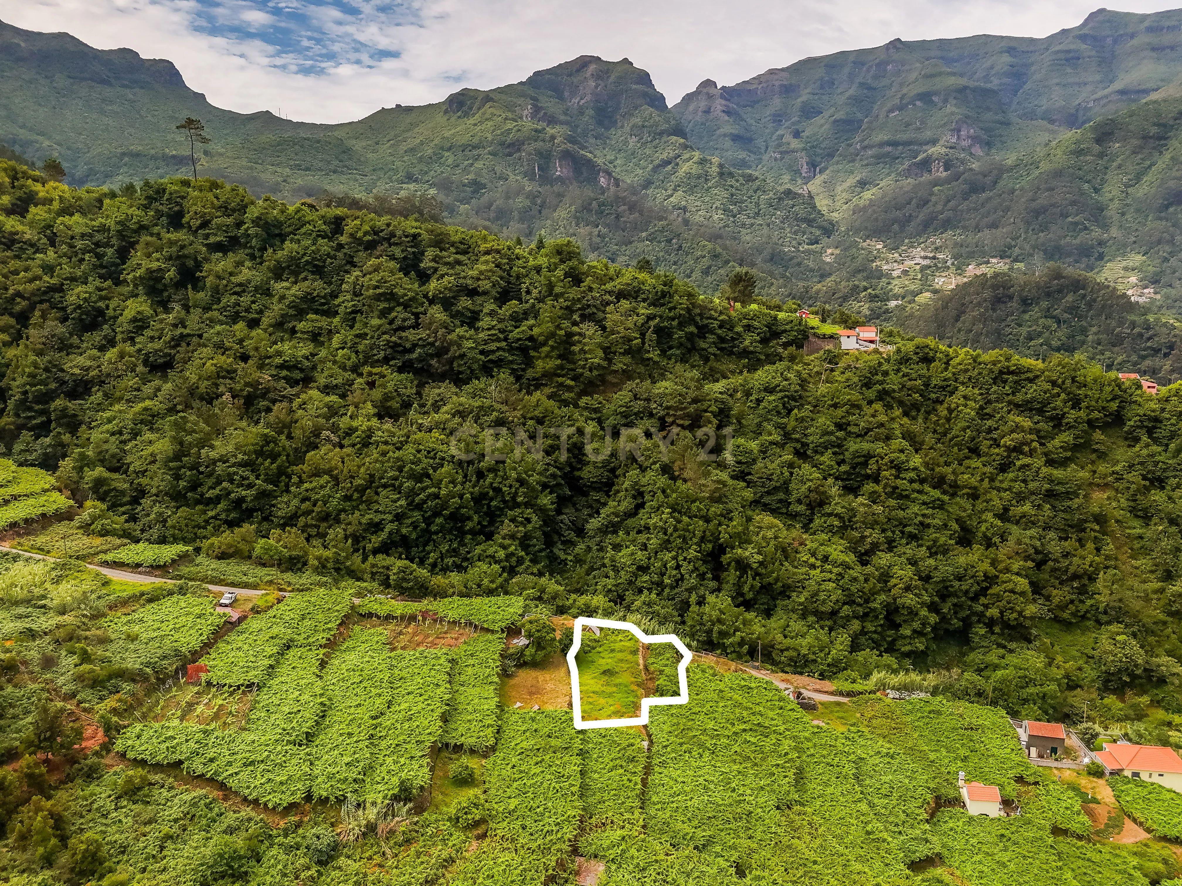 Fotografia 7 de Terreno para Construção com Projeto Residencial à Venda