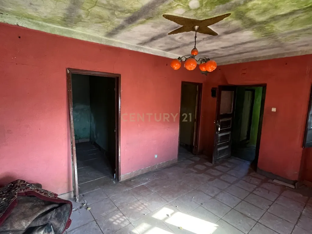 Moradia para reconstrução em São Mamede - Penacova - Image 3