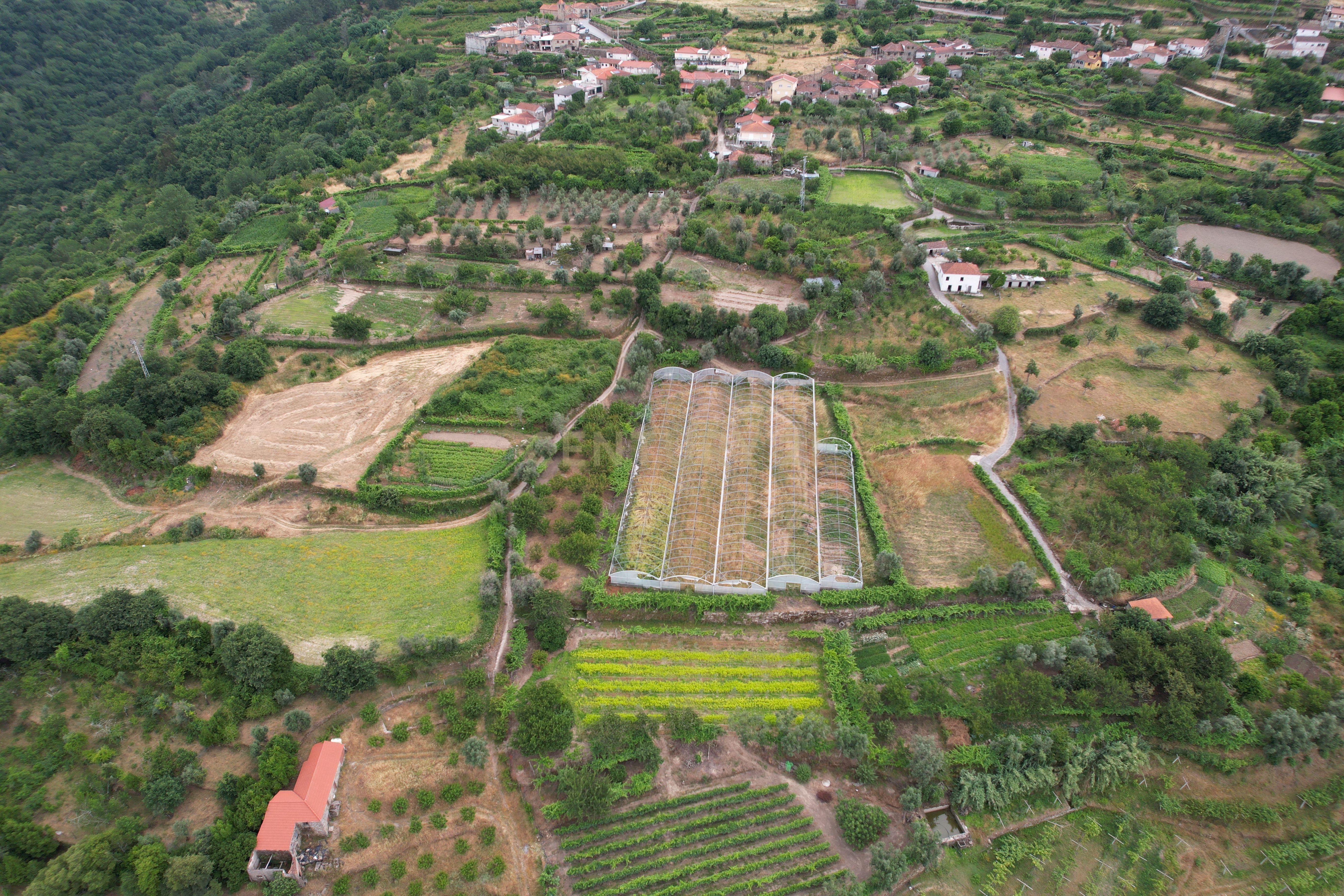 Fotografia 4 de Quinta em Miomães, Resende | Um refúgio rural com cerca de 4 hectares de potencial