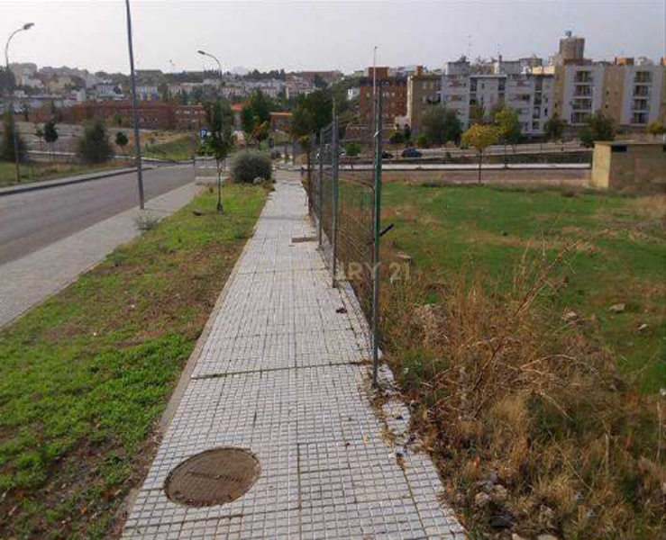 Terreno - Image 4