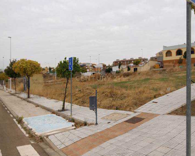 Terreno - Image 3