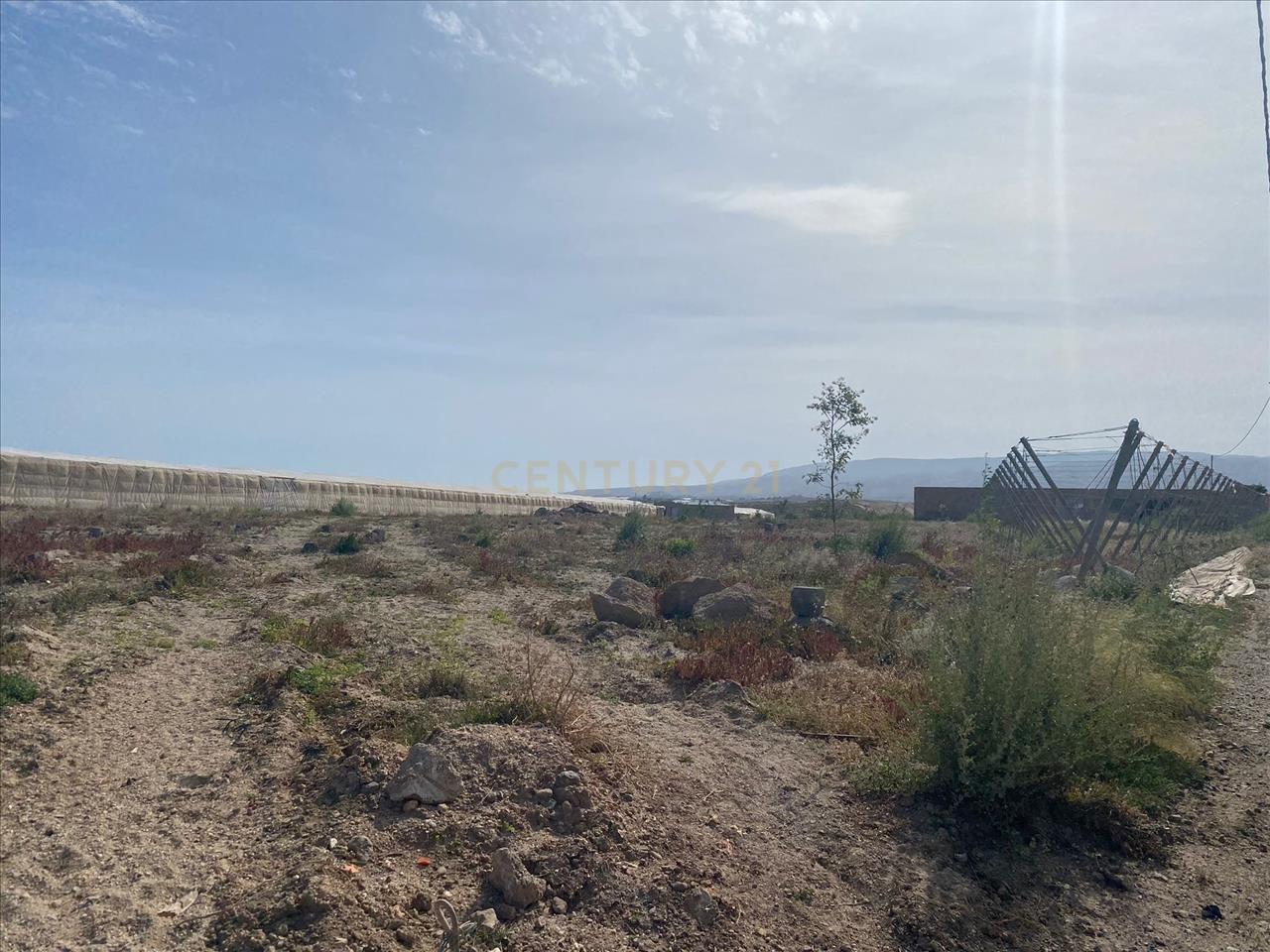 Terreno - Image 3