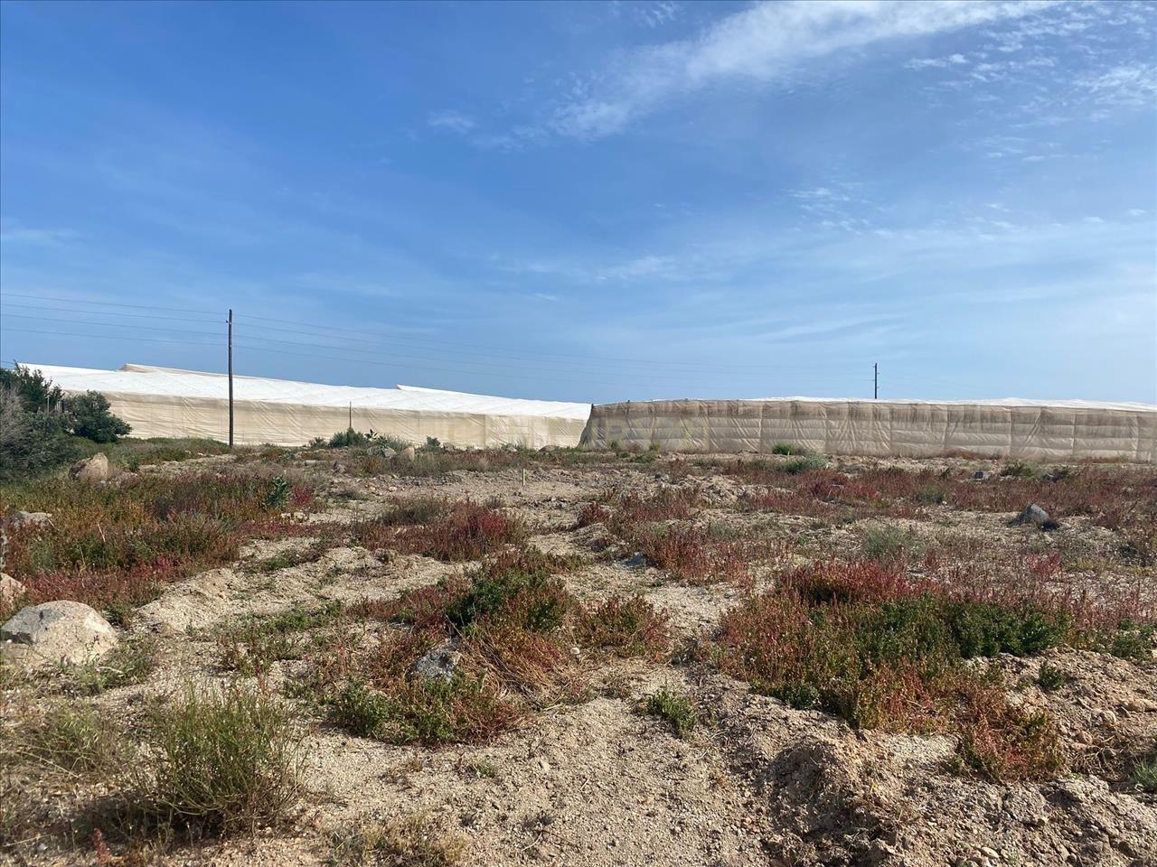 Terreno - Image 1