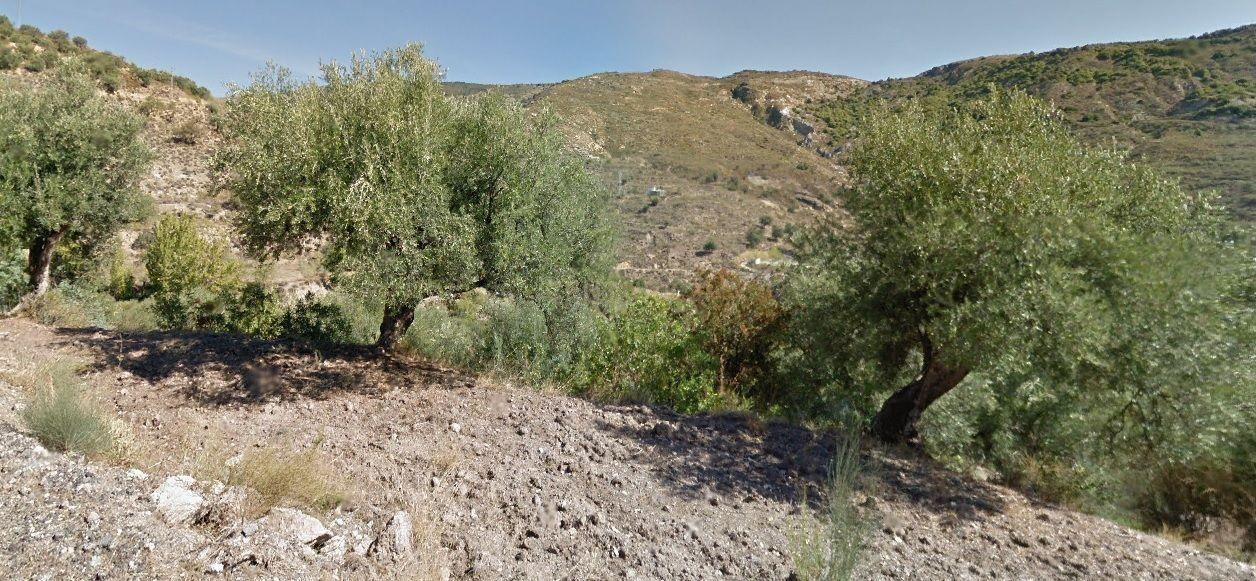 Terreno - Image 5