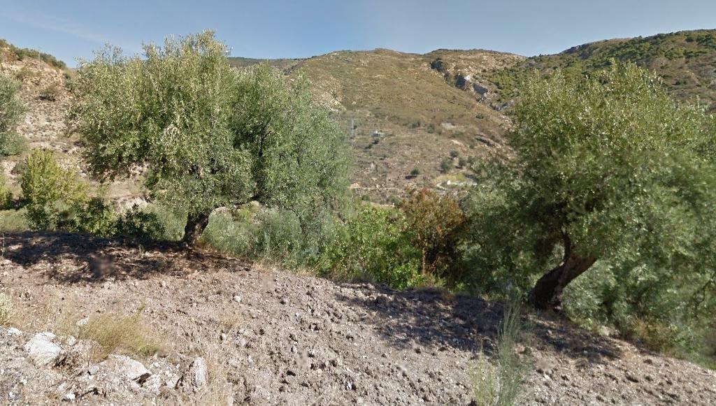 Terreno - Image 5