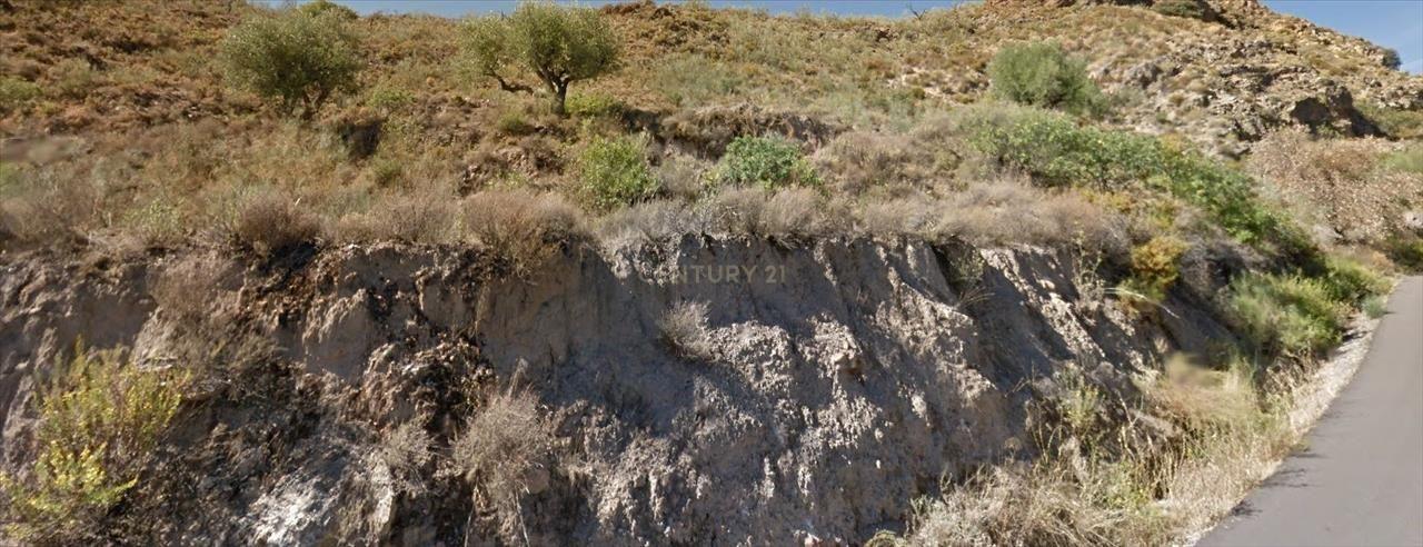 Terreno - Image 7