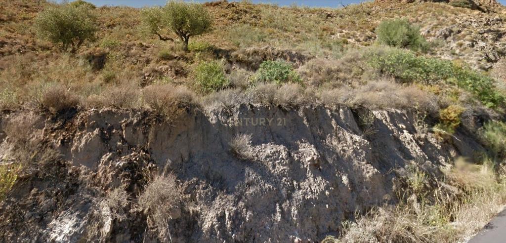 Terreno - Image 7