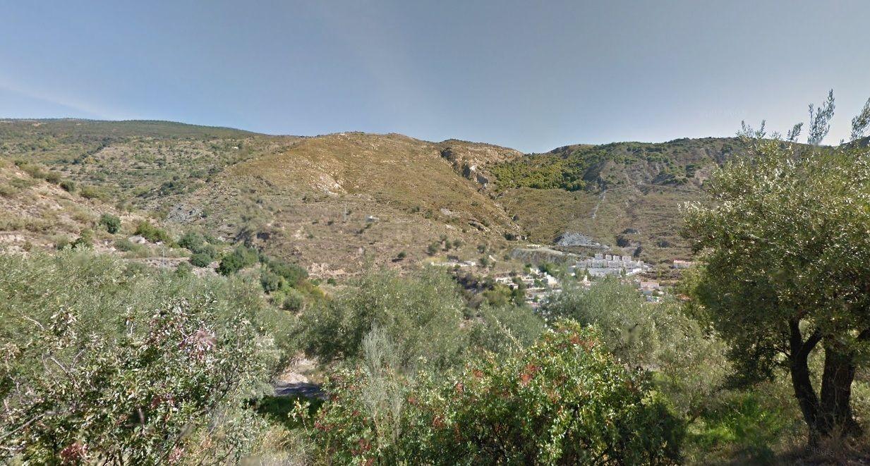 Terreno - Image 8