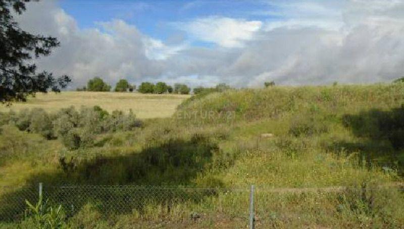 Terreno - Image 2