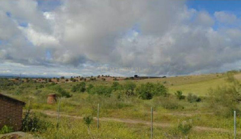 Terreno - Image 4