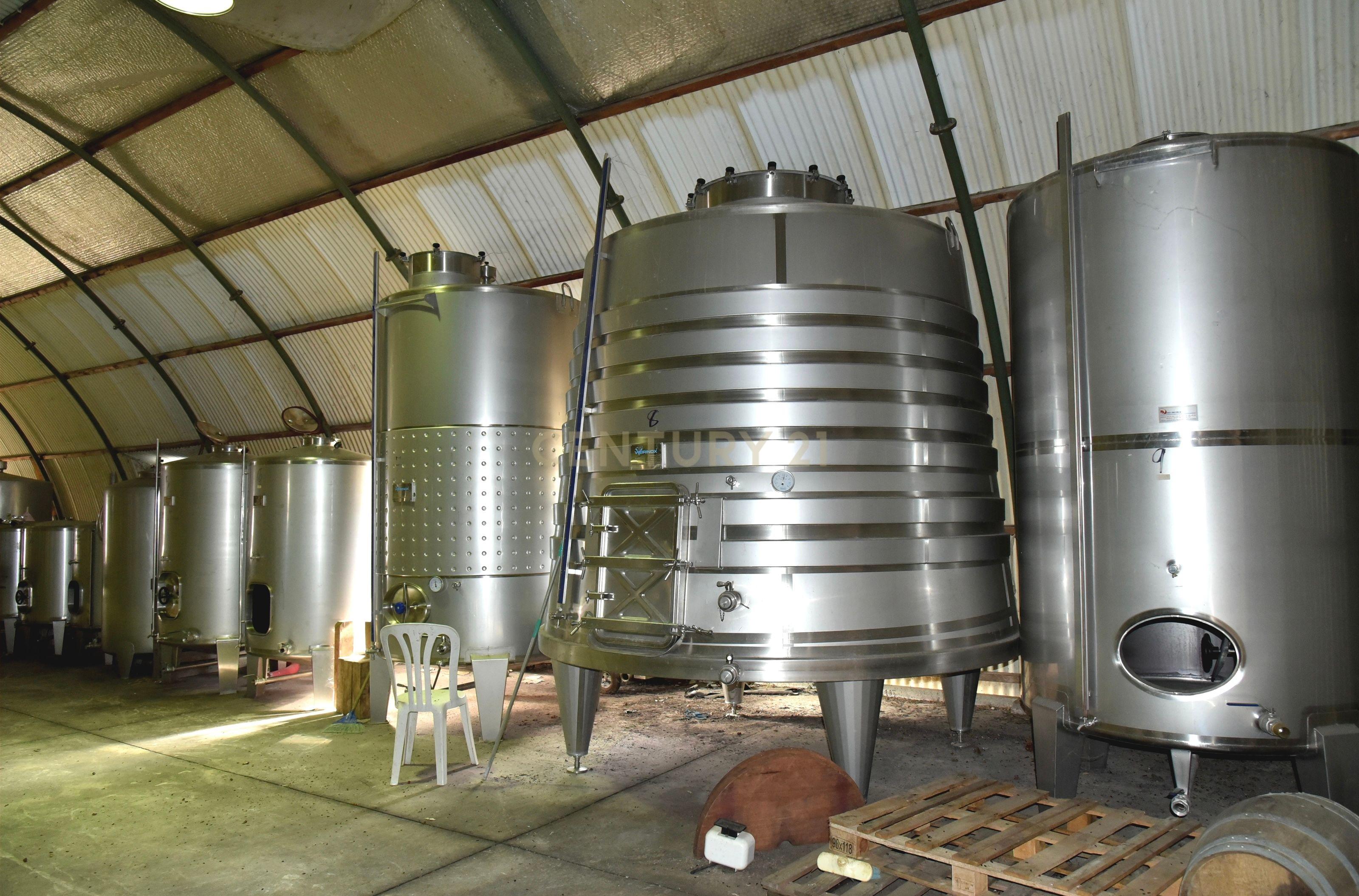 Herdade Dos Mascarenhas com 102 hectares em Palmela - Image 37