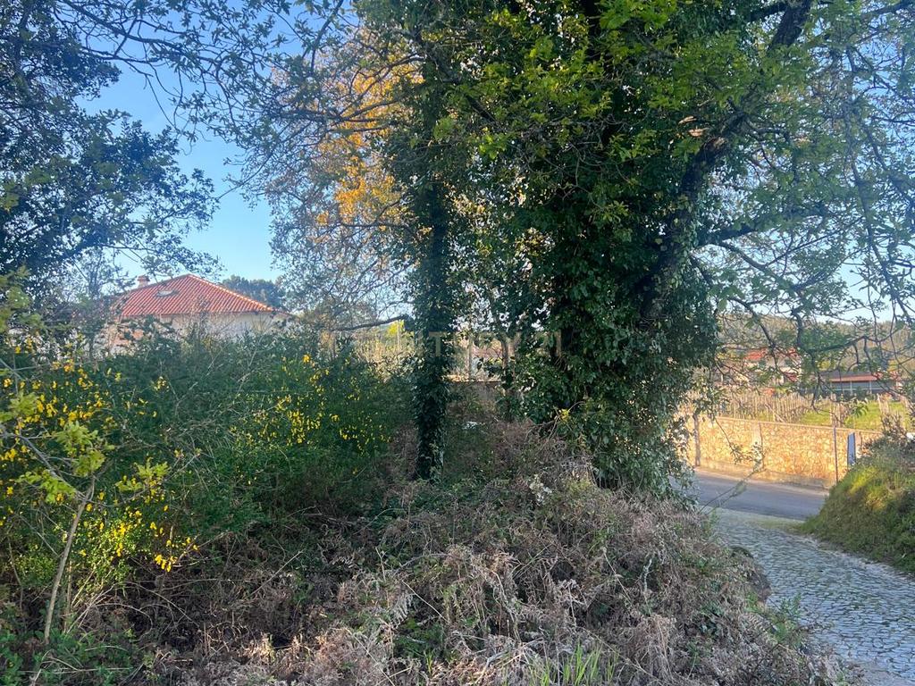 Terreno com 12.900 m² e Vistas Desafogadas na Tapada – Figueiró dos Vinhos - Image 3