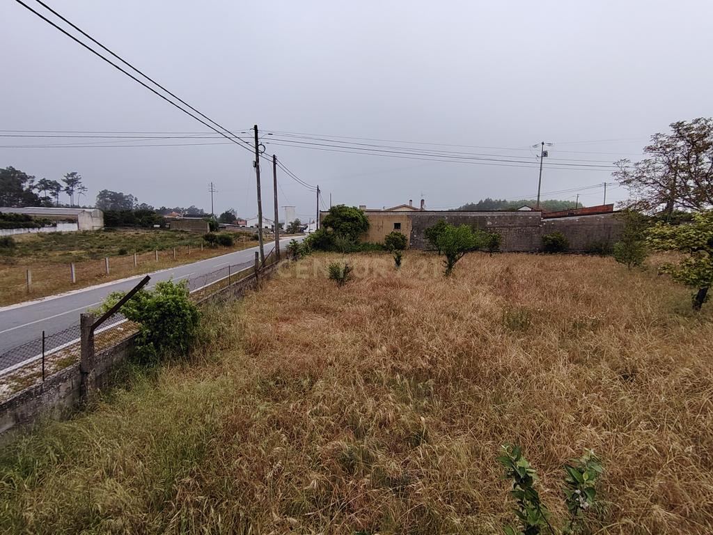 Lote com Viabilidade de Construção — Total 451 m² - Image 11