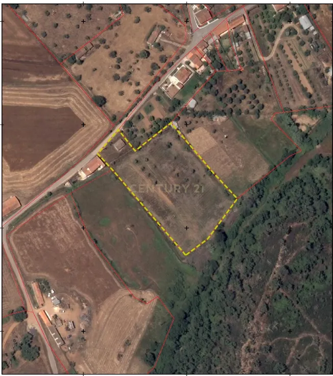 Quinta a 20 km da Costa Vicentina, 8.250m2 de terreno - Image 5