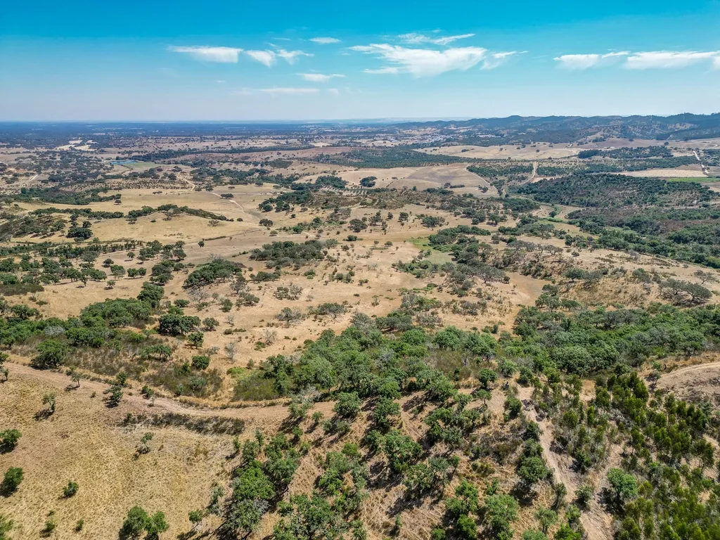 Herdade com 59,225 ha , 687m2 urbano, nascente de água, em Colos, Odemira - Image 13