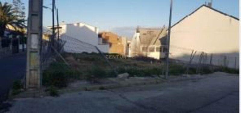 Terreno - Image 5
