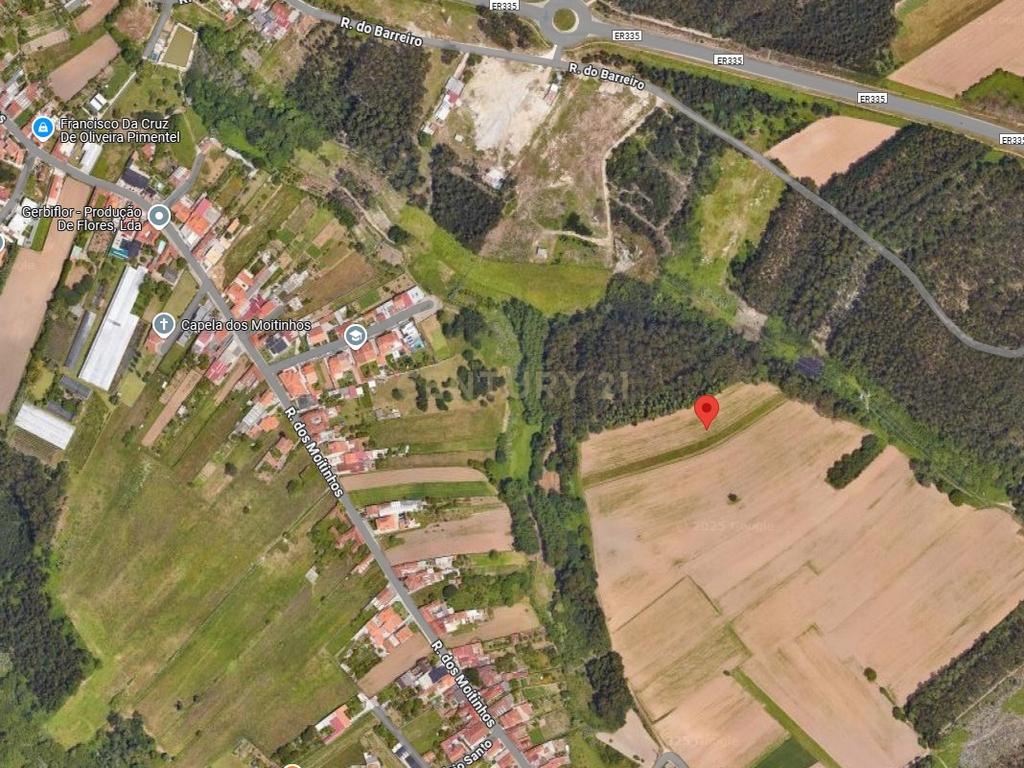 Terreno Agrícola em Ílhavo com Vista Campestre - Image 5
