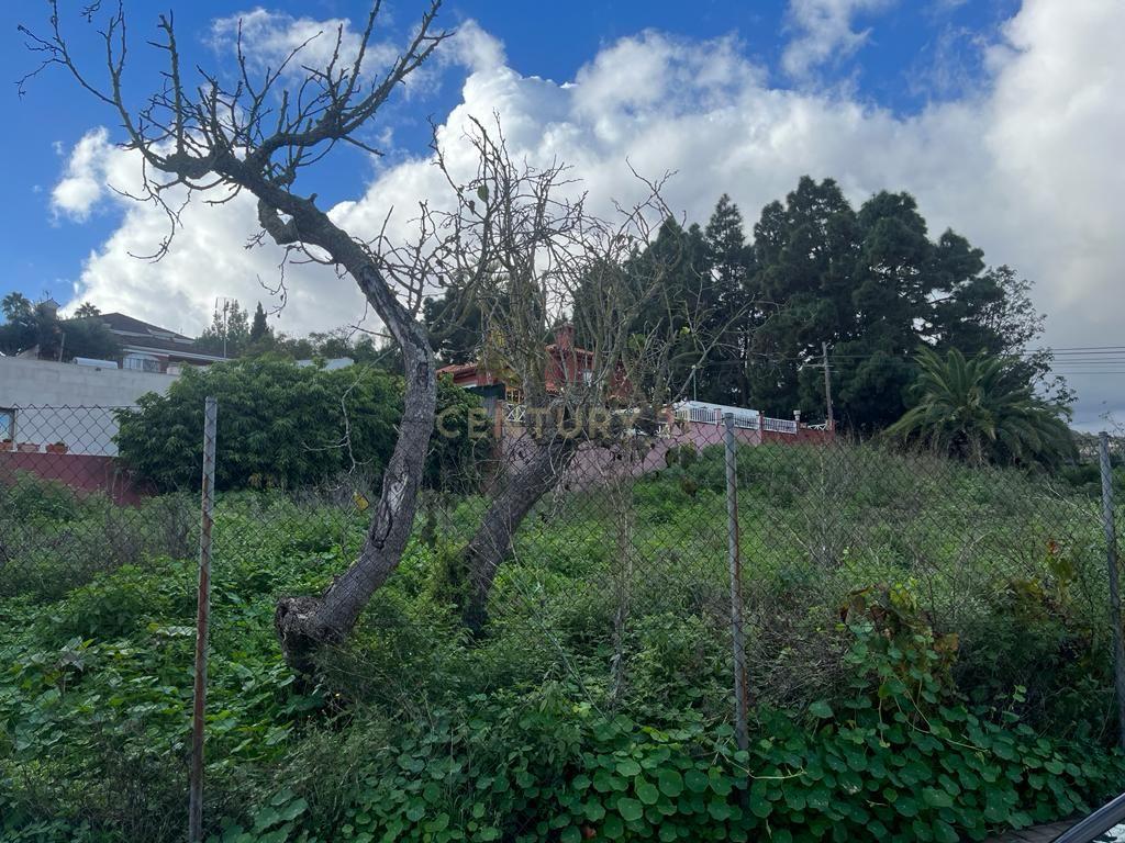 Terreno - Image 8
