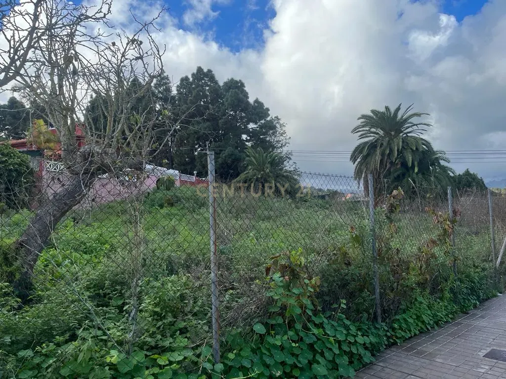 Terreno - Image 7