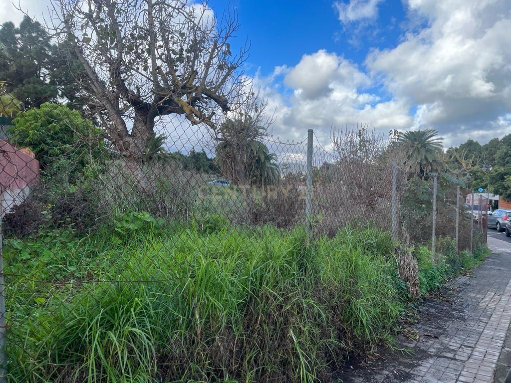 Terreno - Image 6
